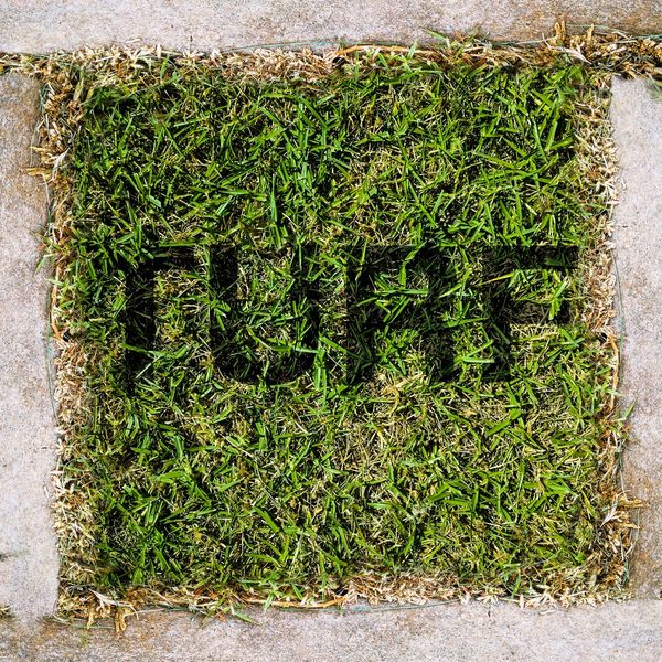 Turf Texture Project